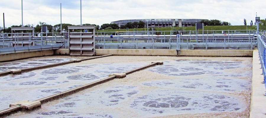 Cung cấp bùn vi sinh