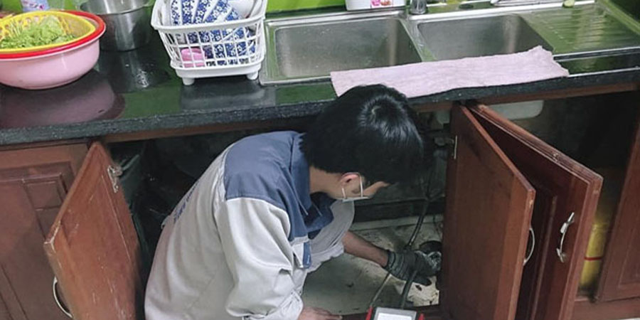Thông rửa chén Đà Lạt